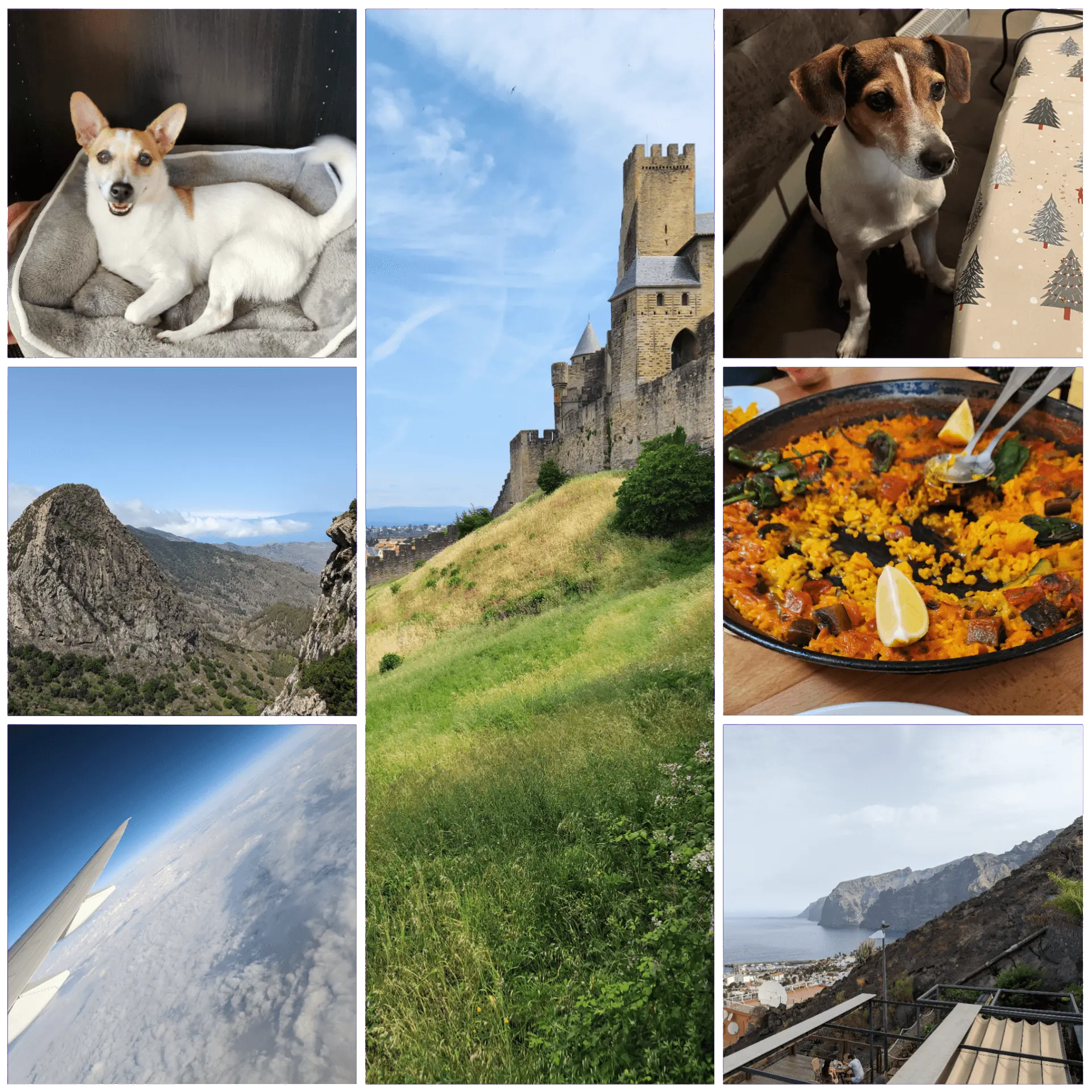 Collage with personal photos from Daan van der Vring, including his dogs, a castle, a mountain landscape, paella, an airplane window, and a coastal town.